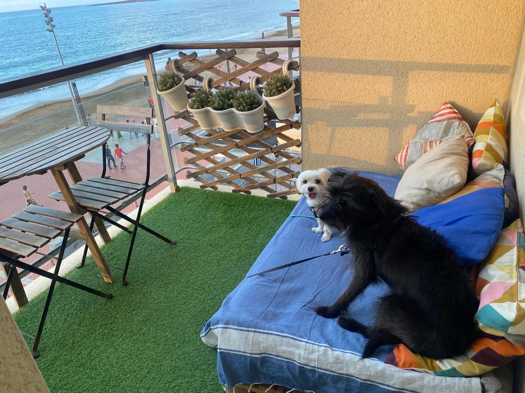 Apartmán Mar Y Playa De Martin, 2B Las Palmas de Gran Canaria Exteriér fotografie